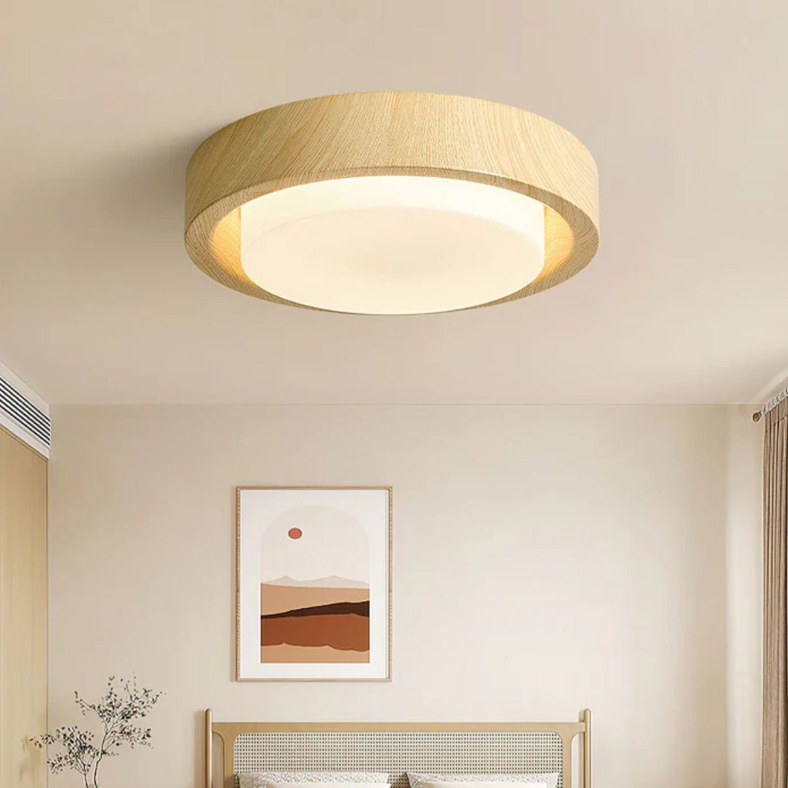 Lumza Ring Shape Ceiling Light