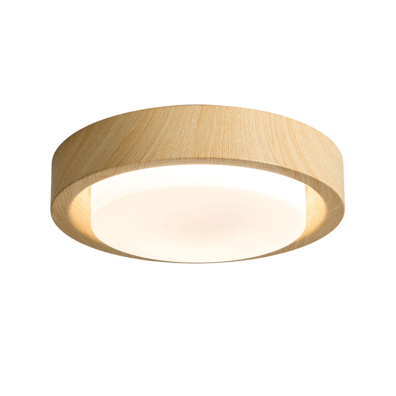 Lumza Ring Shape Ceiling Light