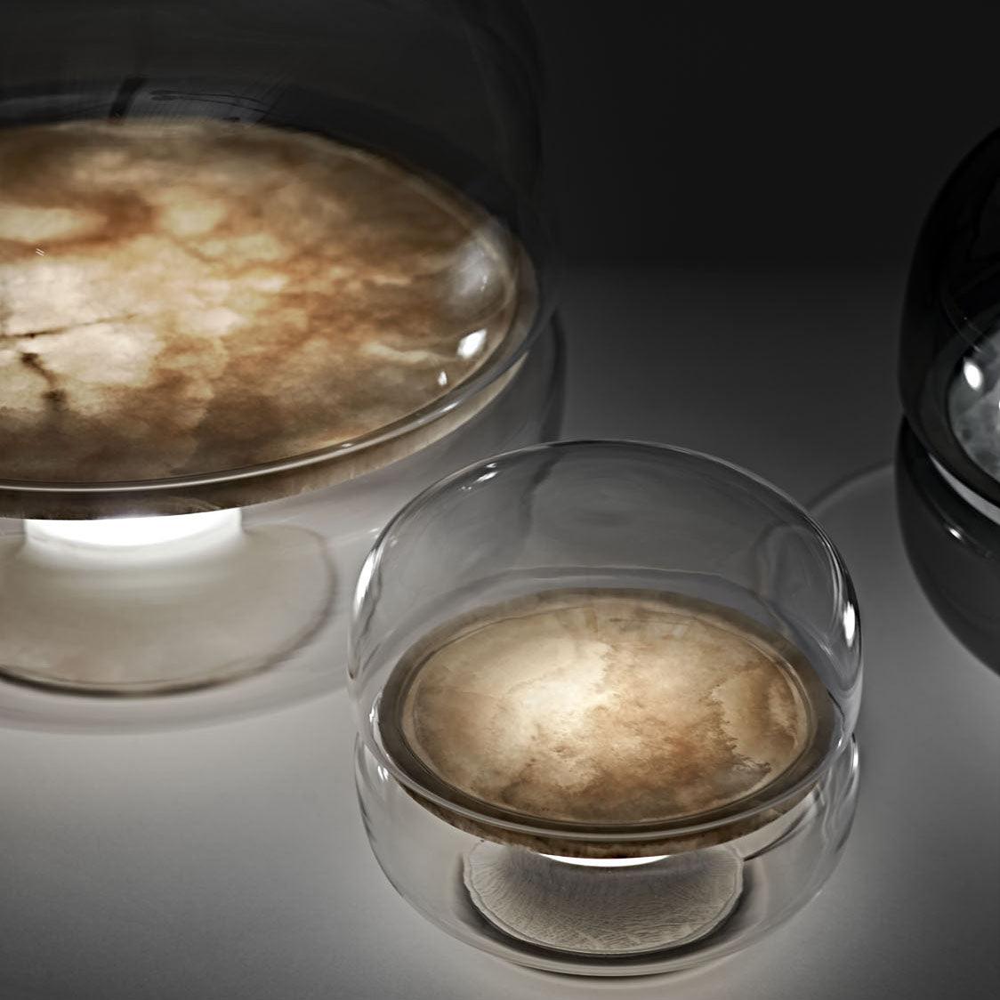 Zantivo Table Lamp