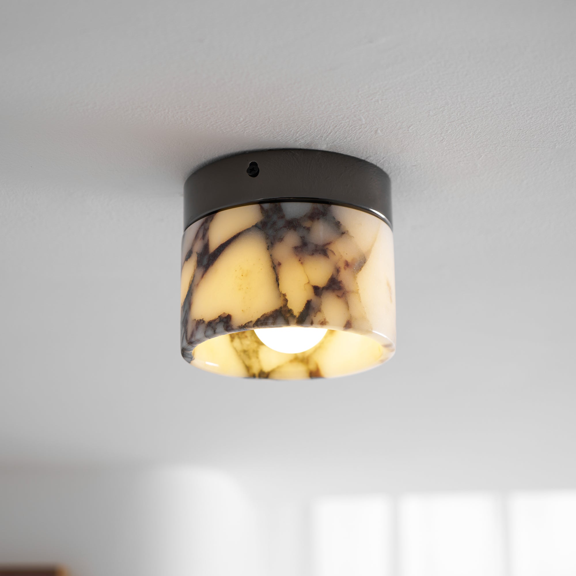 Eldialey Ceiling Light