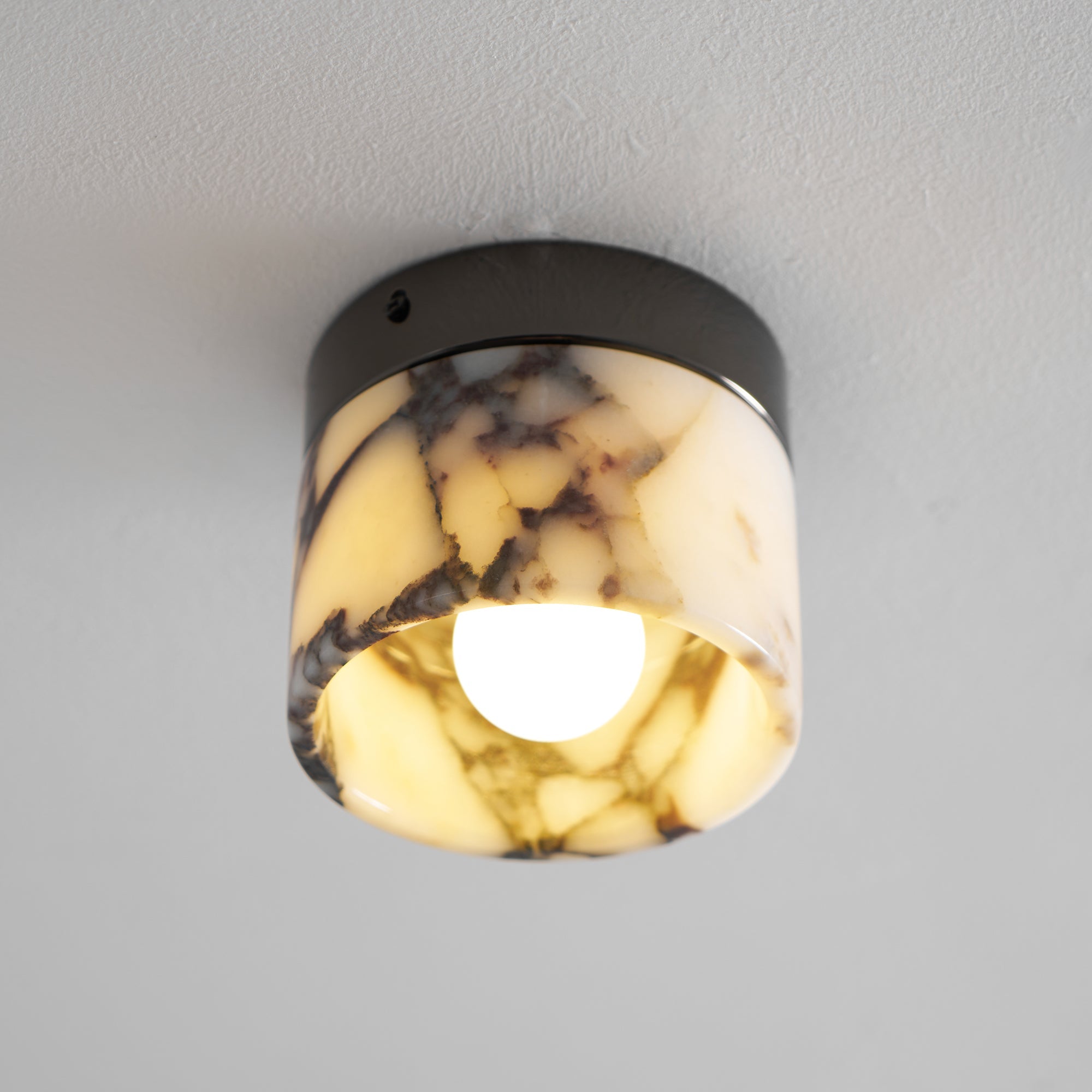 Eldialey Ceiling Light