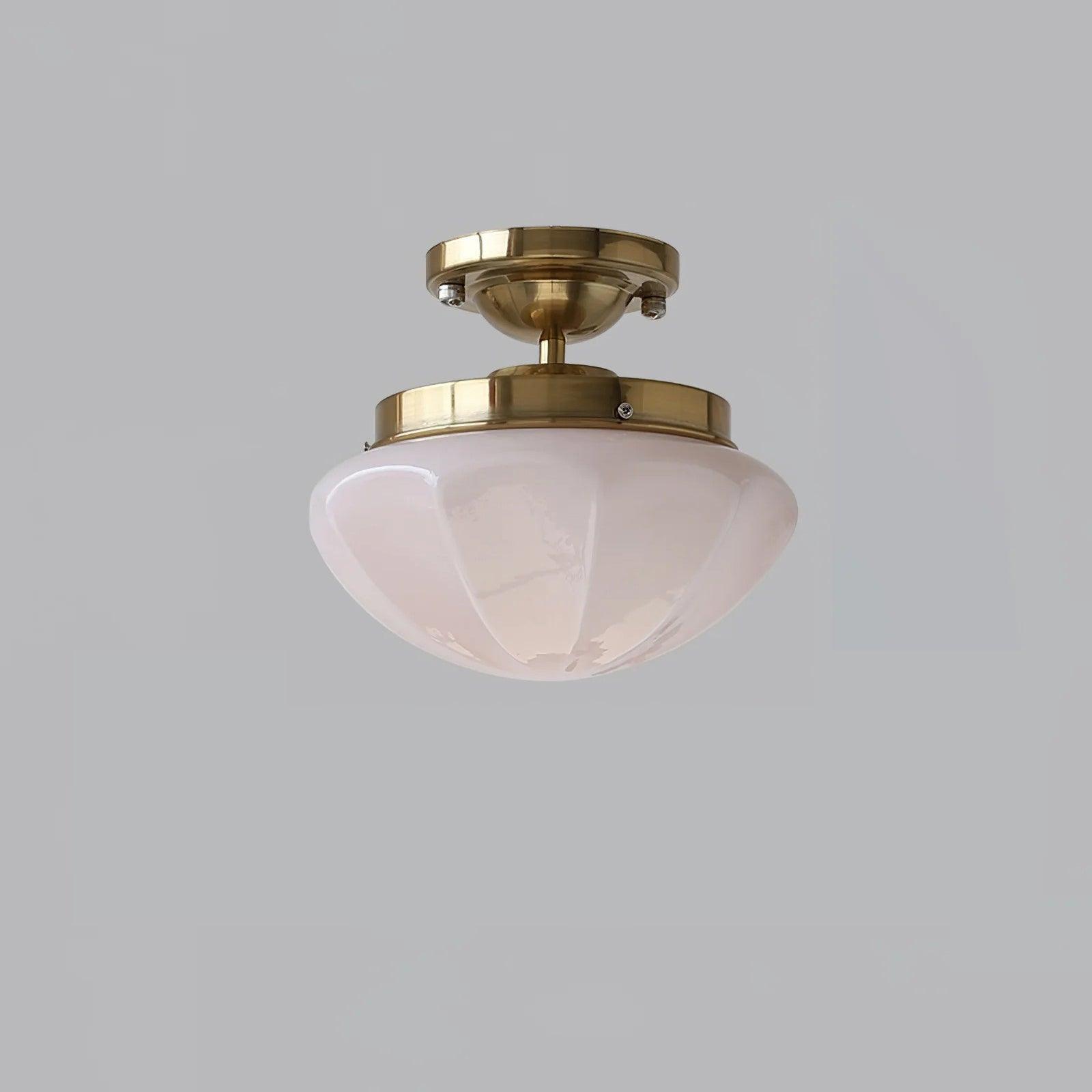 Elvaya Ceiling Light