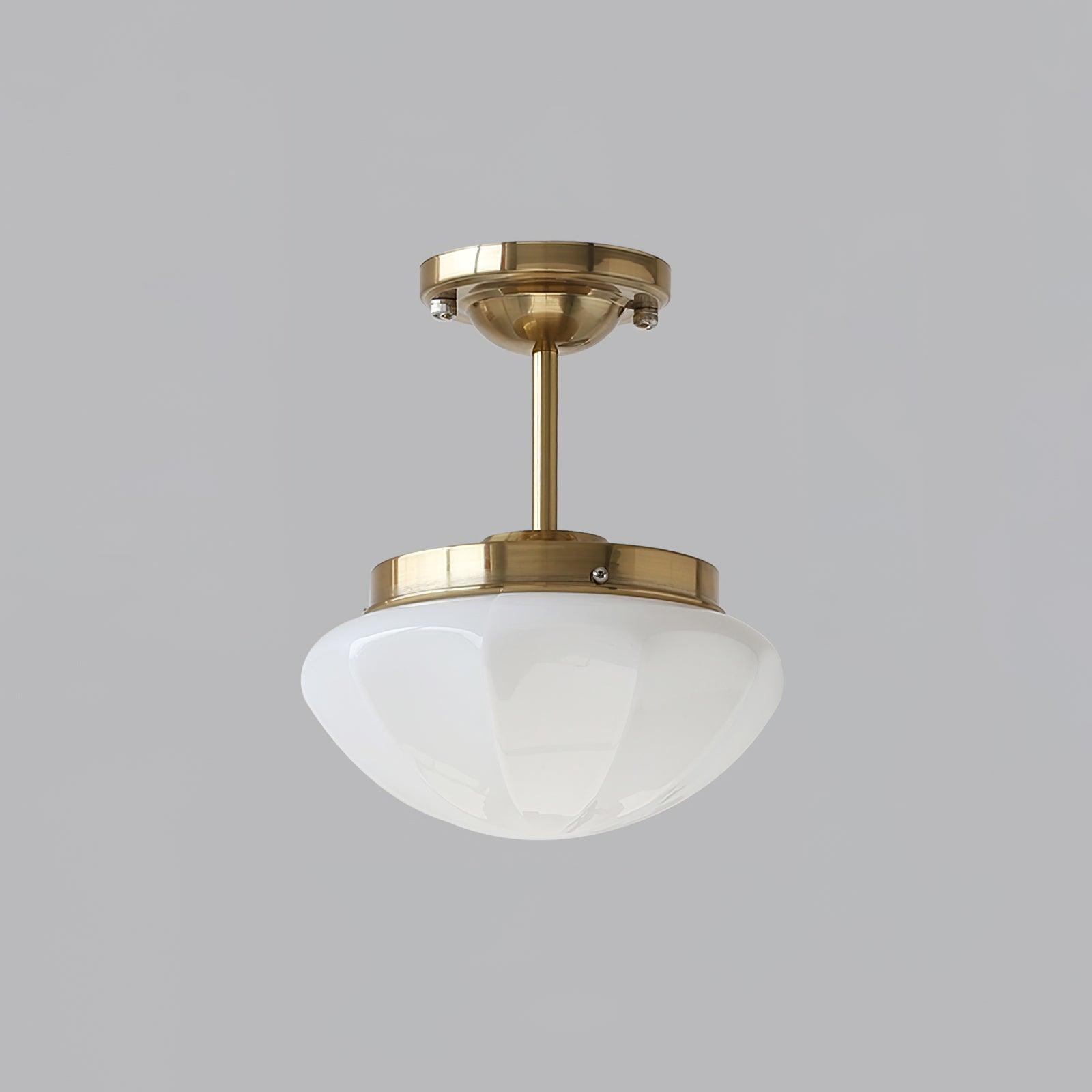 Elvaya Ceiling Light