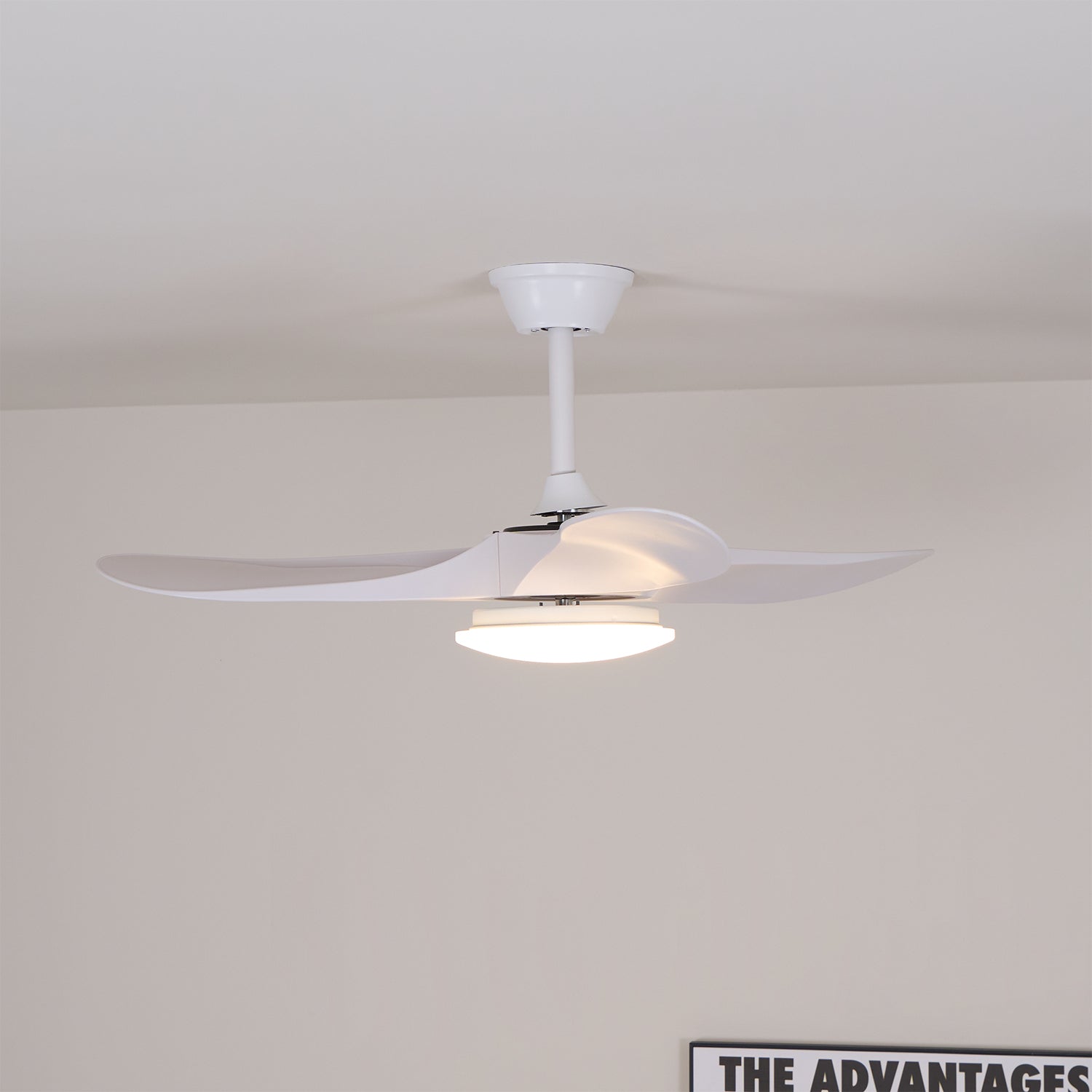 Lemokis LED Ceiling Fan