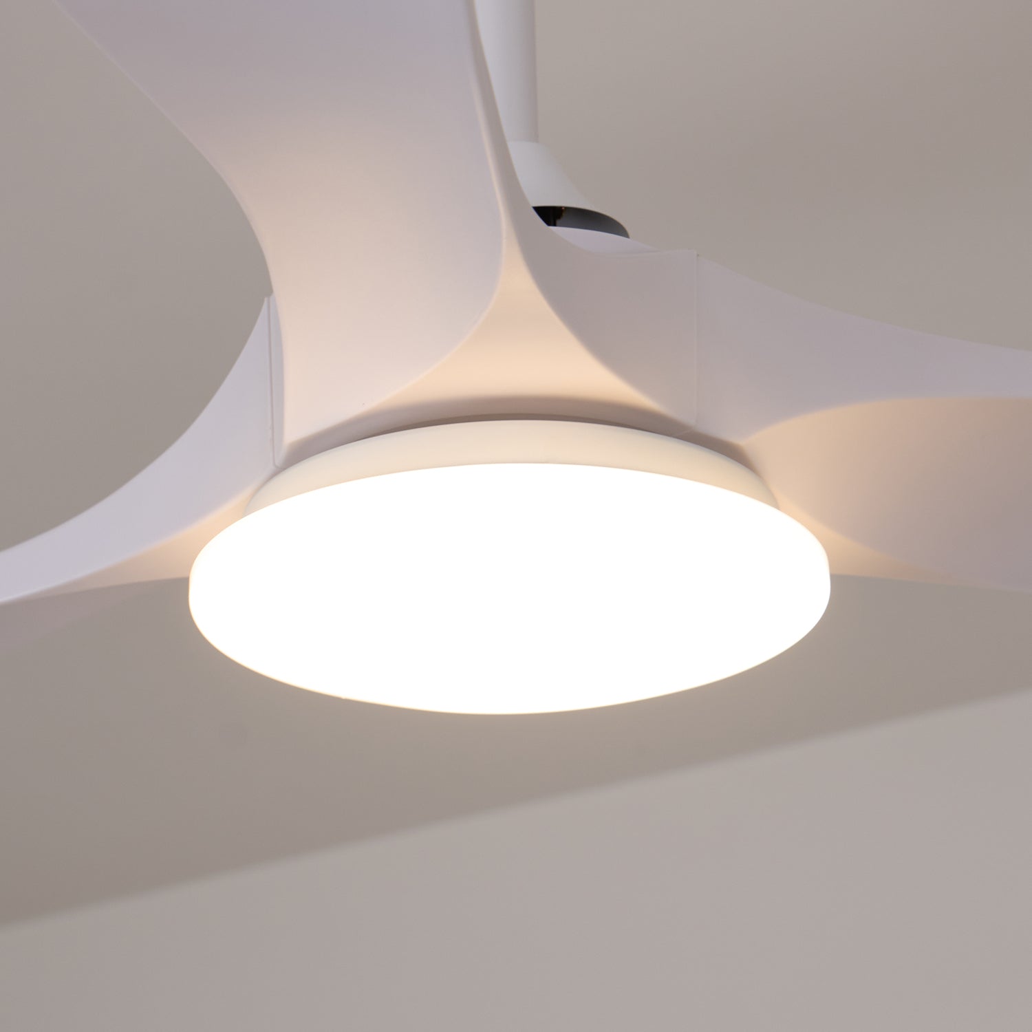 Lemokis LED Ceiling Fan