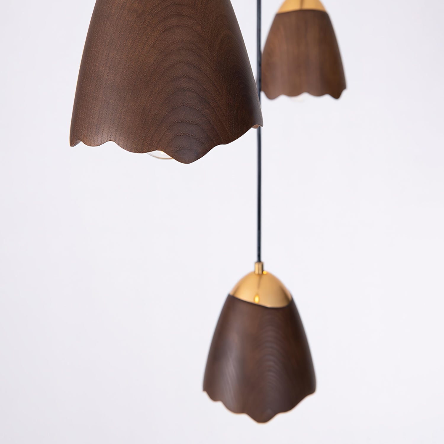 Meboly Pendant Light