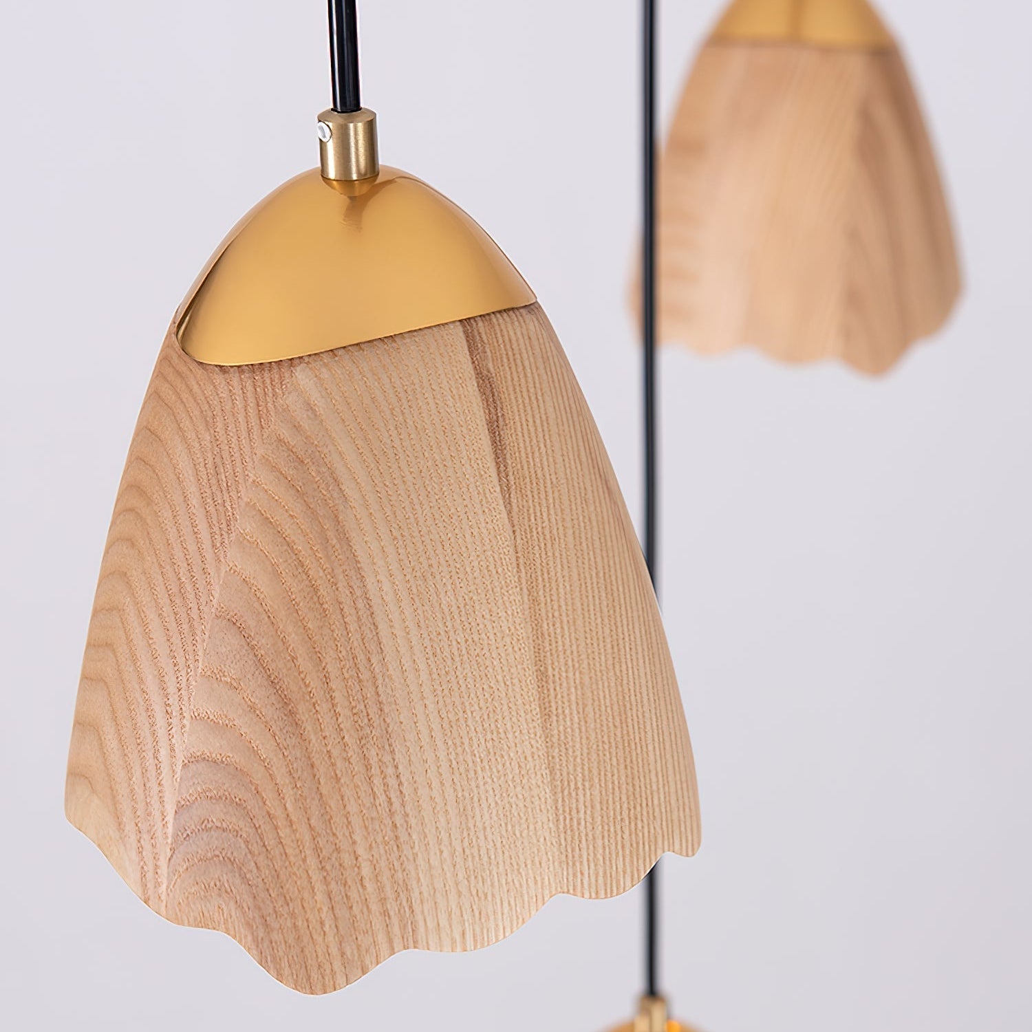 Meboly Pendant Light