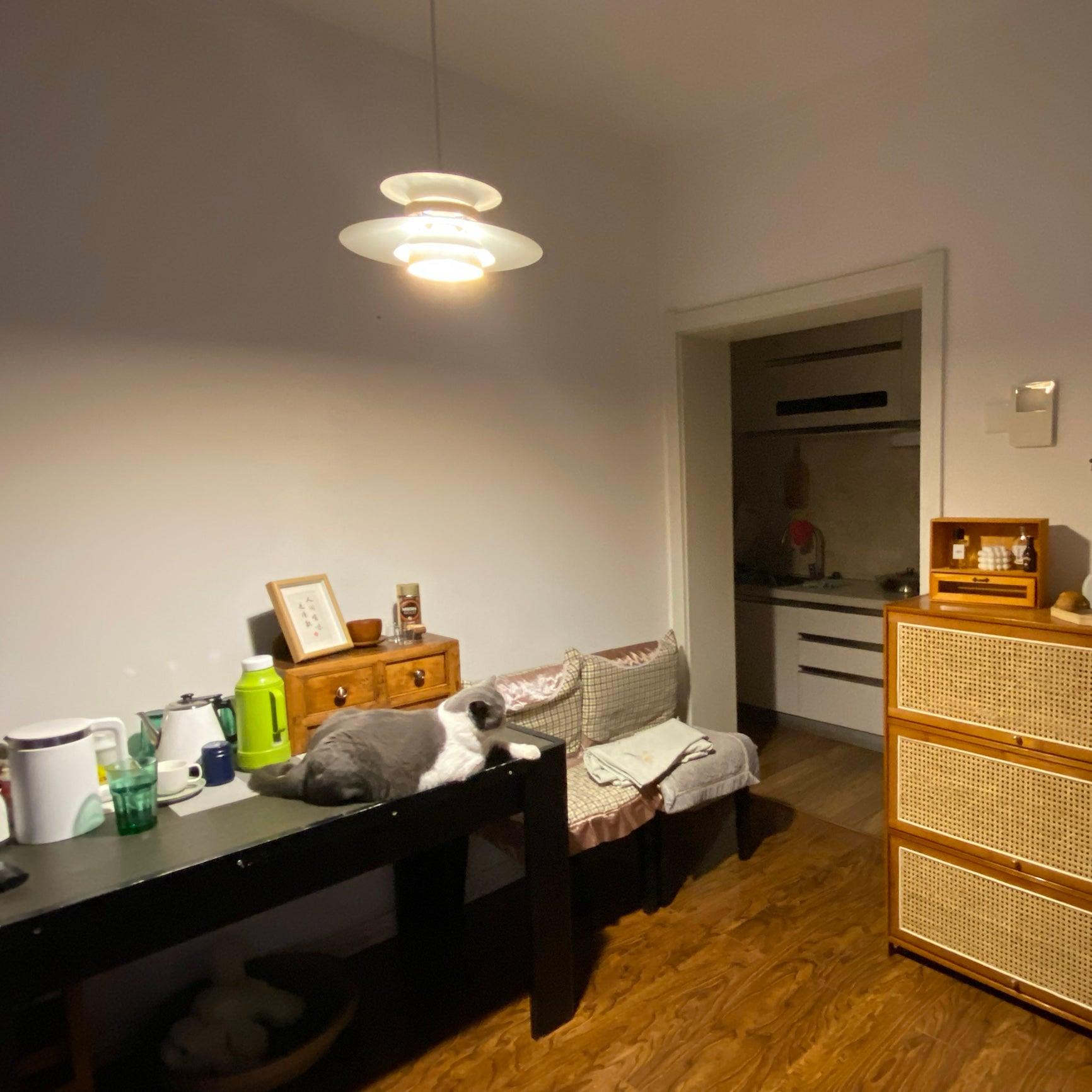 Macero Elegante Pendant Light