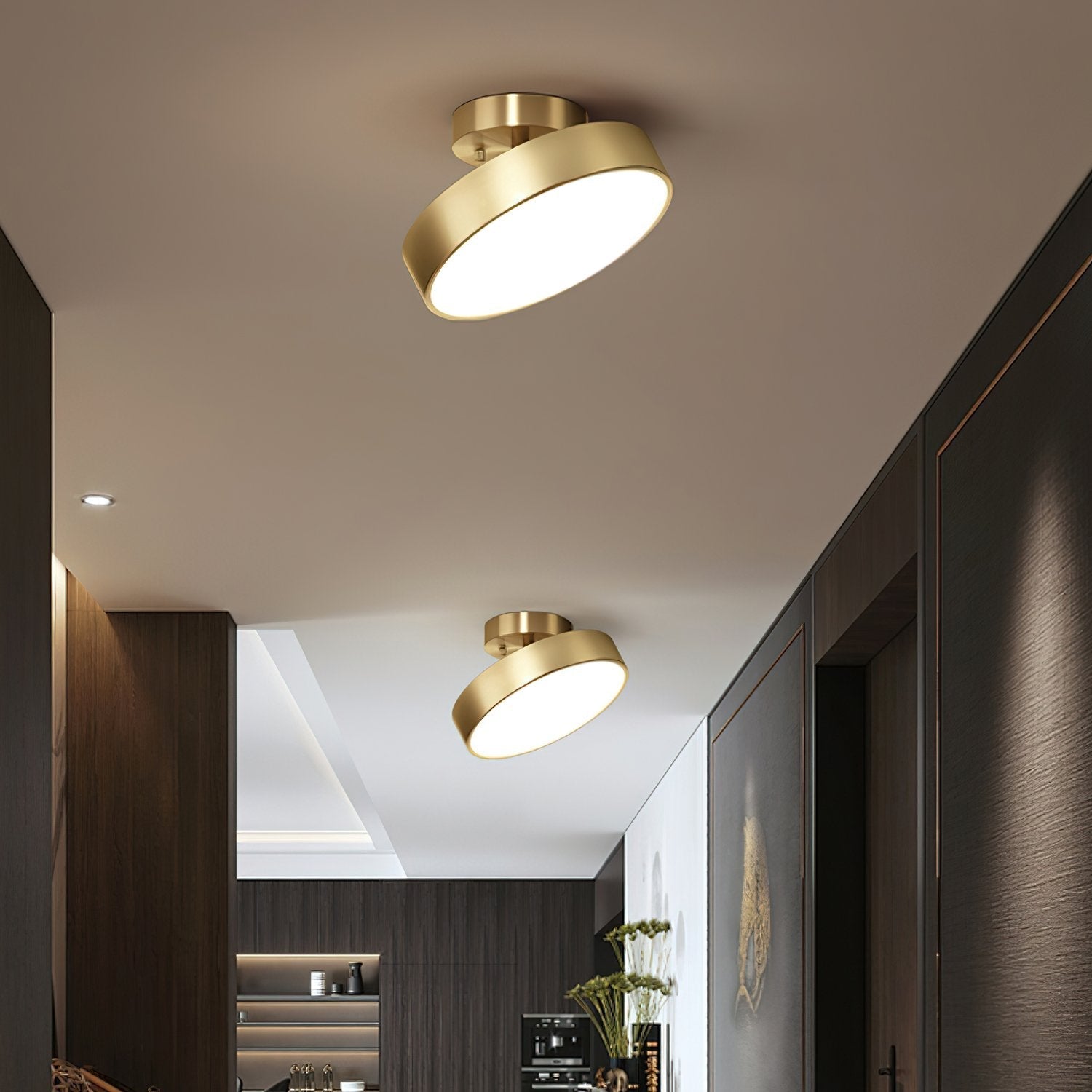 Seccon Ceiling Light
