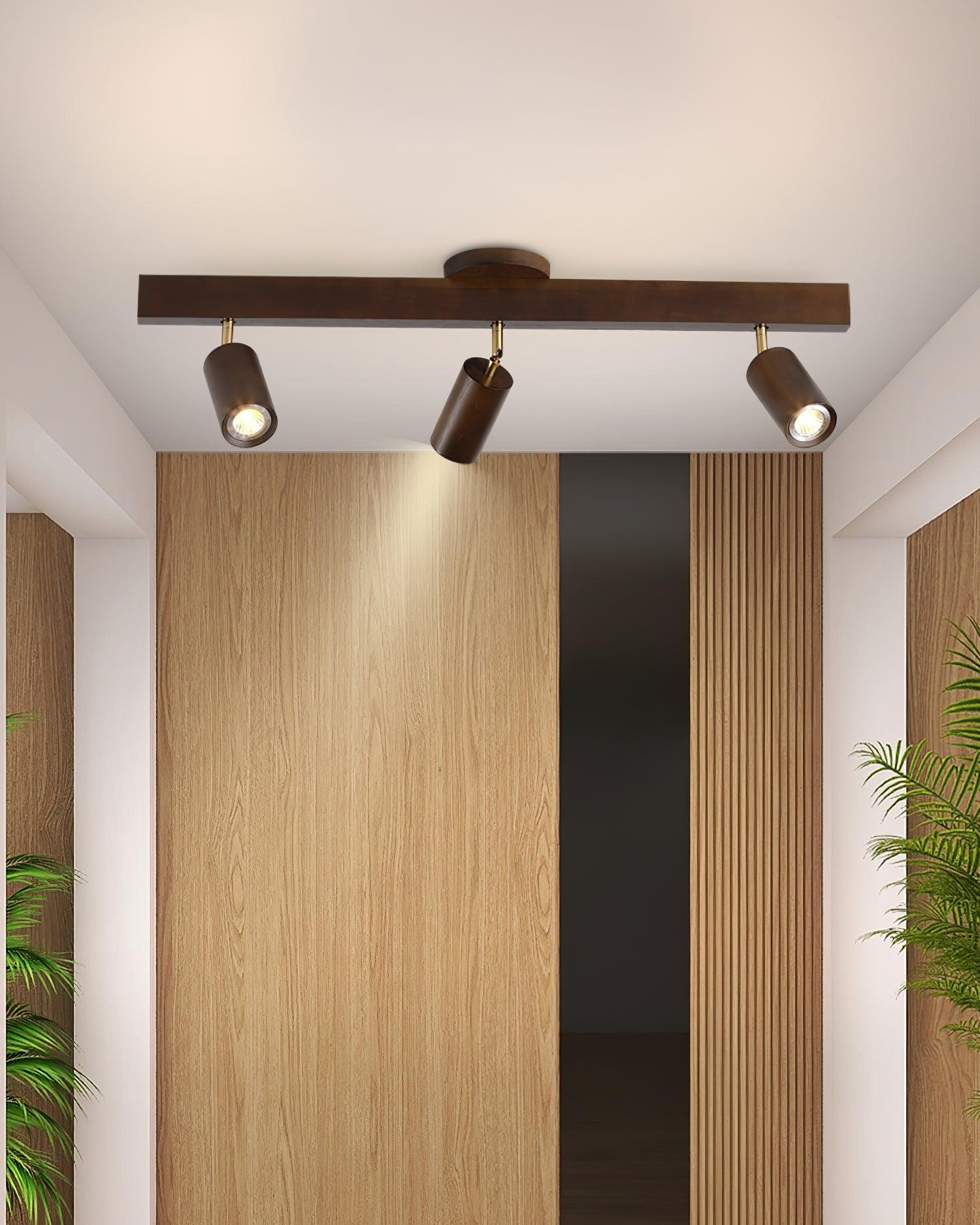 Cennoford Ceiling Light