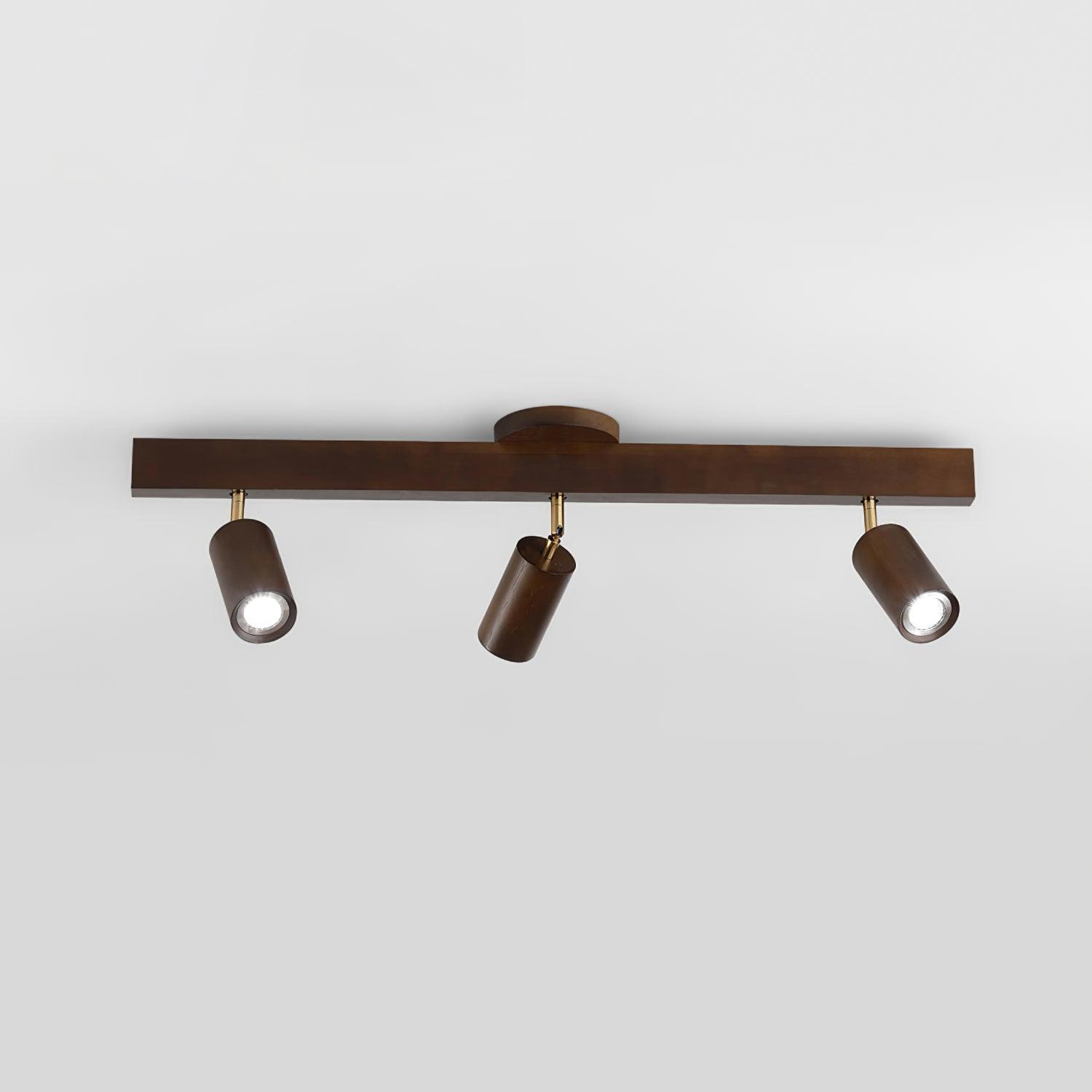 Cennoford Ceiling Light