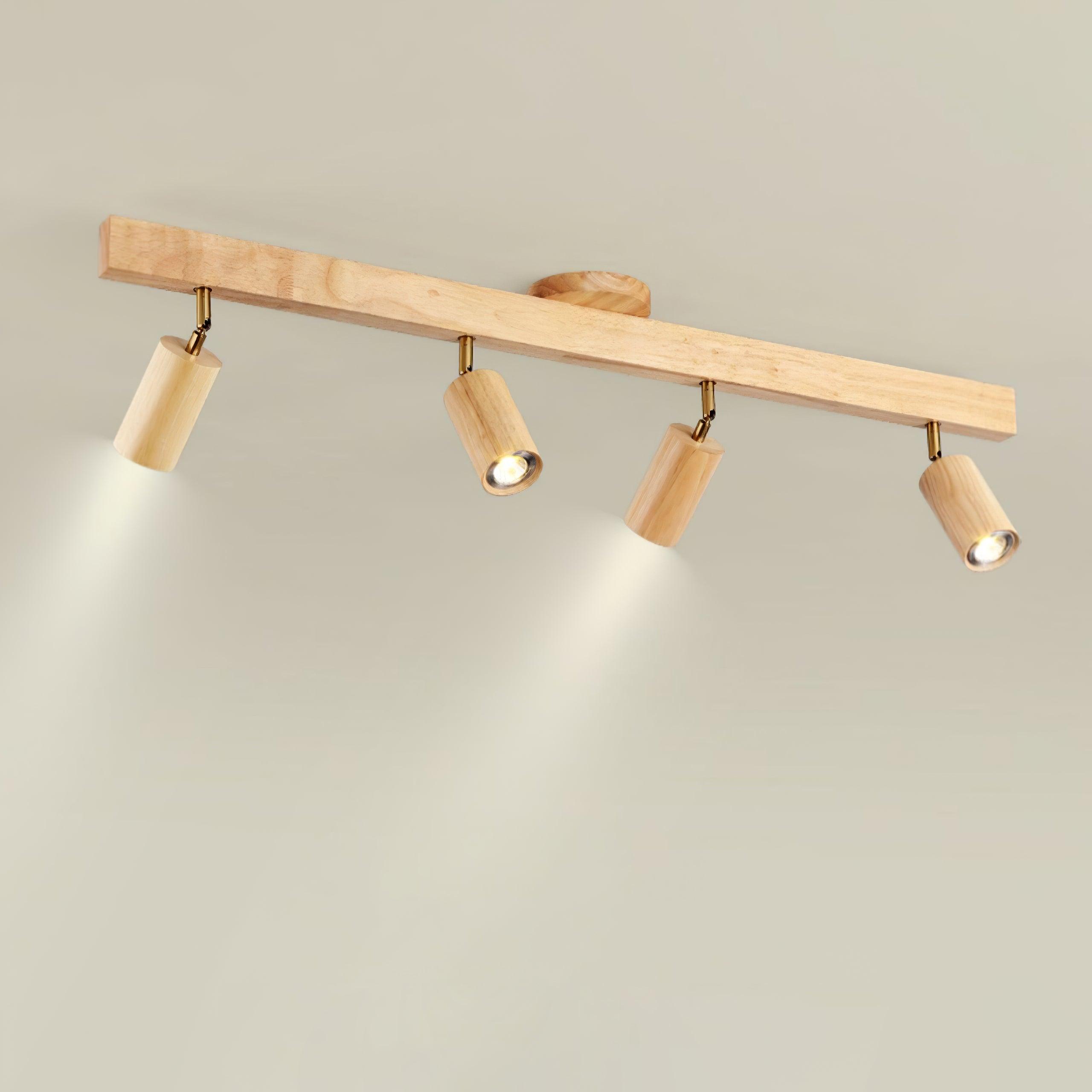 Cennoford Ceiling Light
