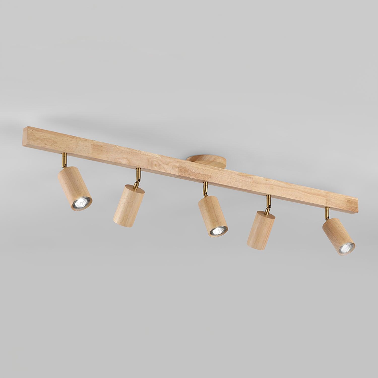 Cennoford Ceiling Light