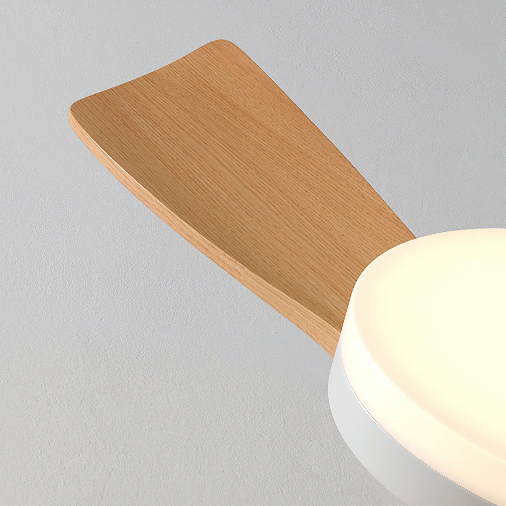 Linri Modern Ceiling Light