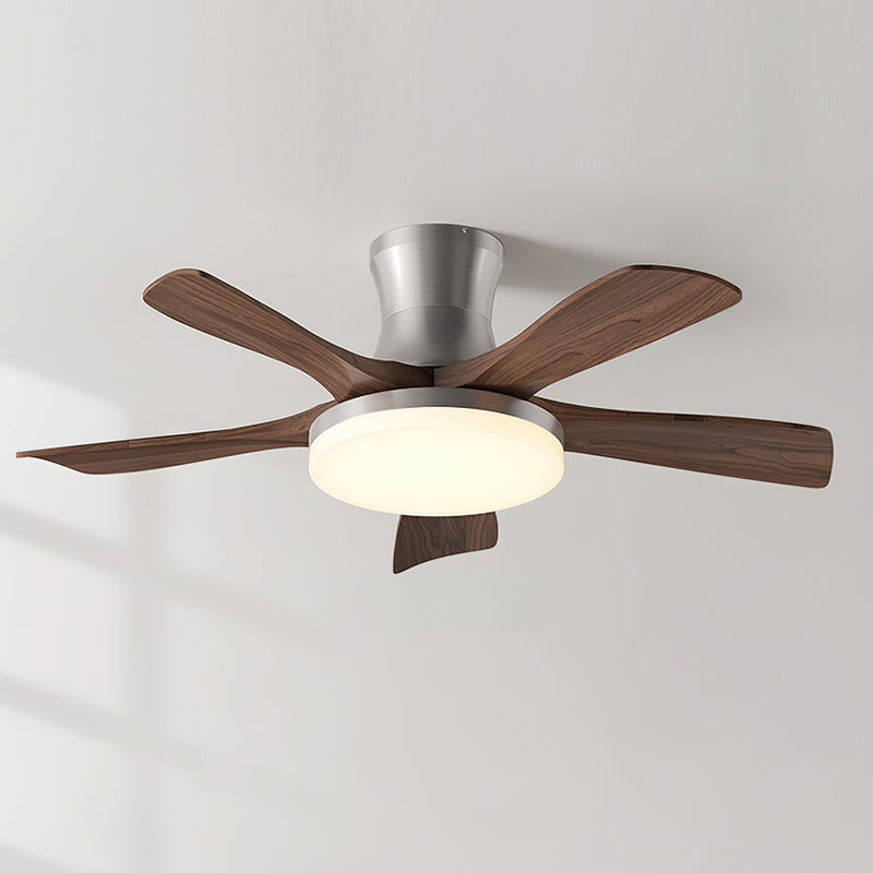 Linri Modern Ceiling Light