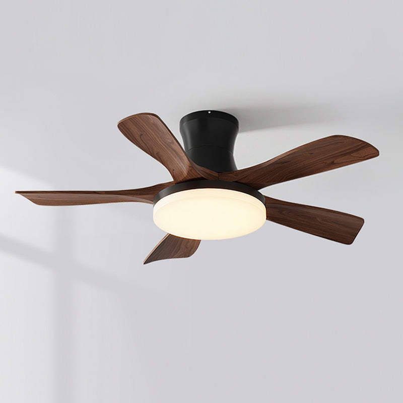 Linri Modern Ceiling Light