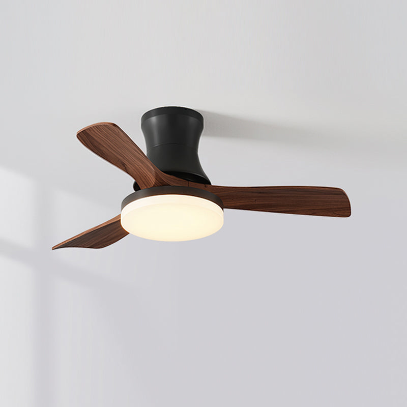 Linri Modern Ceiling Light