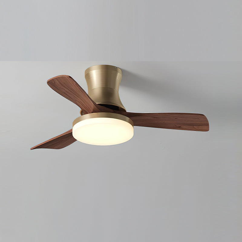 Linri Modern Ceiling Light
