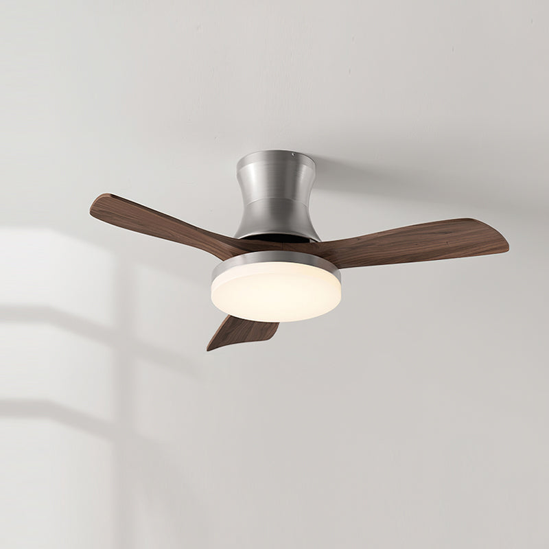 Linri Modern Ceiling Light