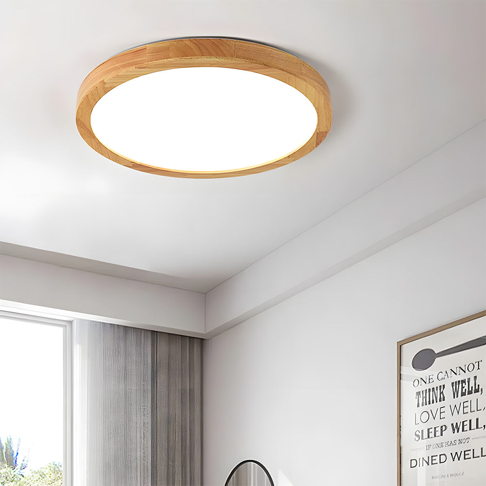 Erlivon Ceiling Light