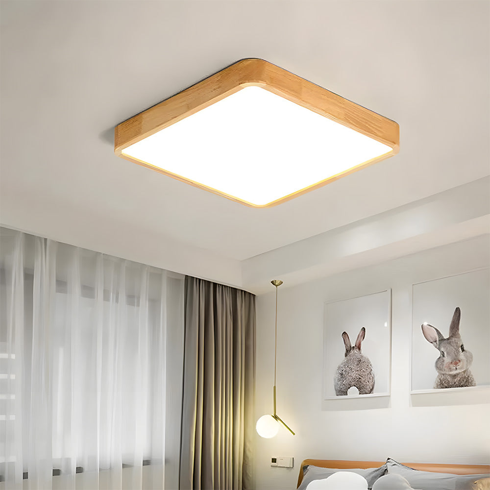 Erlivon Ceiling Light