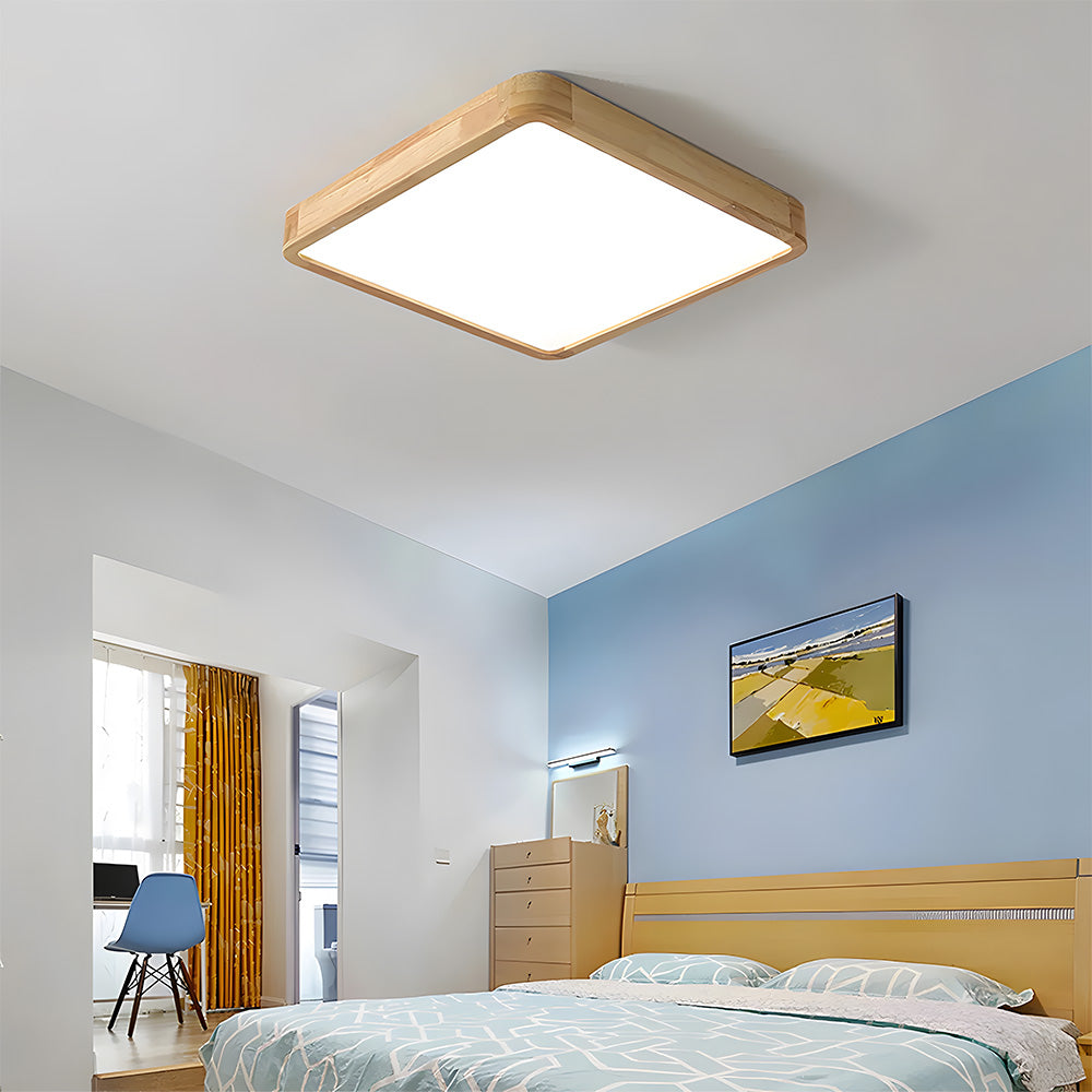 Erlivon Ceiling Light