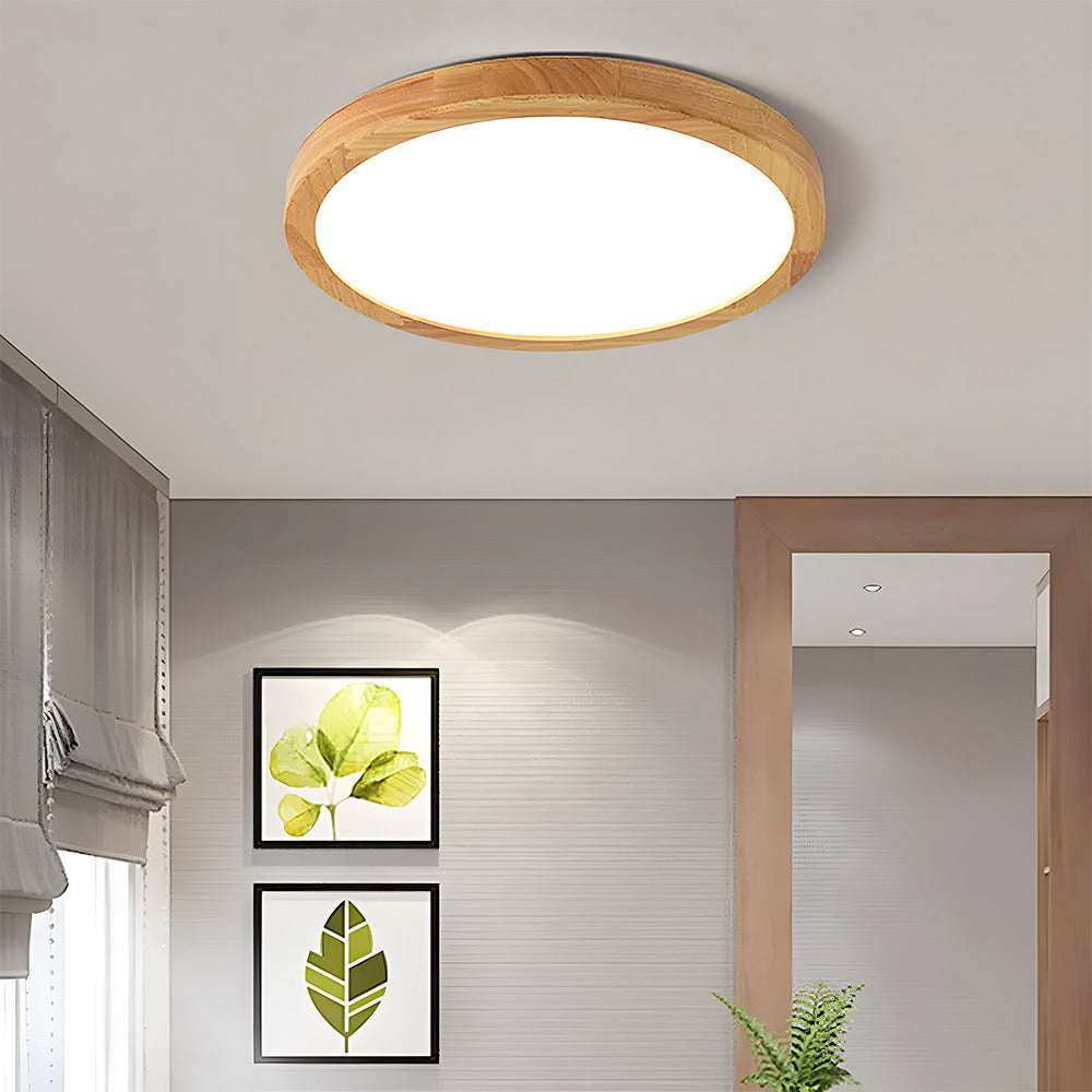 Erlivon Ceiling Light