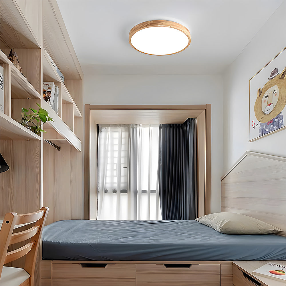 Erlivon Ceiling Light