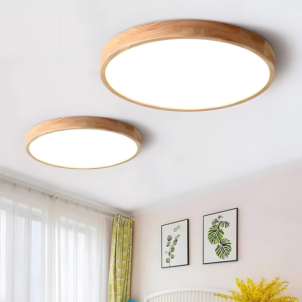 Erlivon Ceiling Light