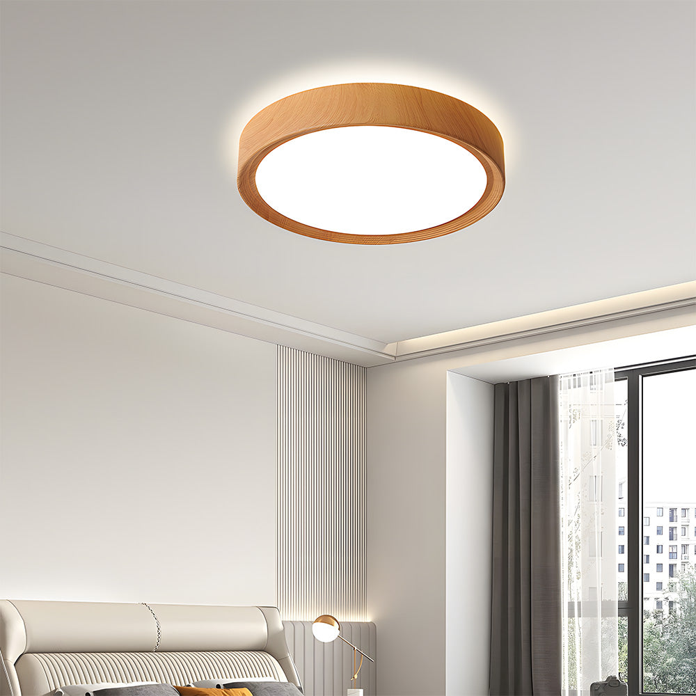 Tozon Round Ceiling Light