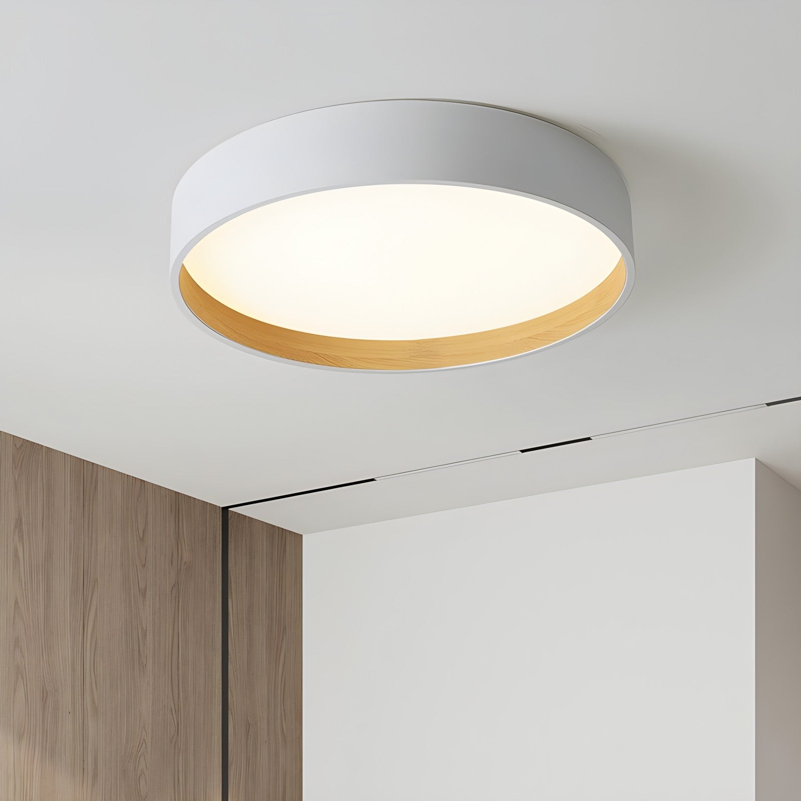 Lorena Ceiling Light