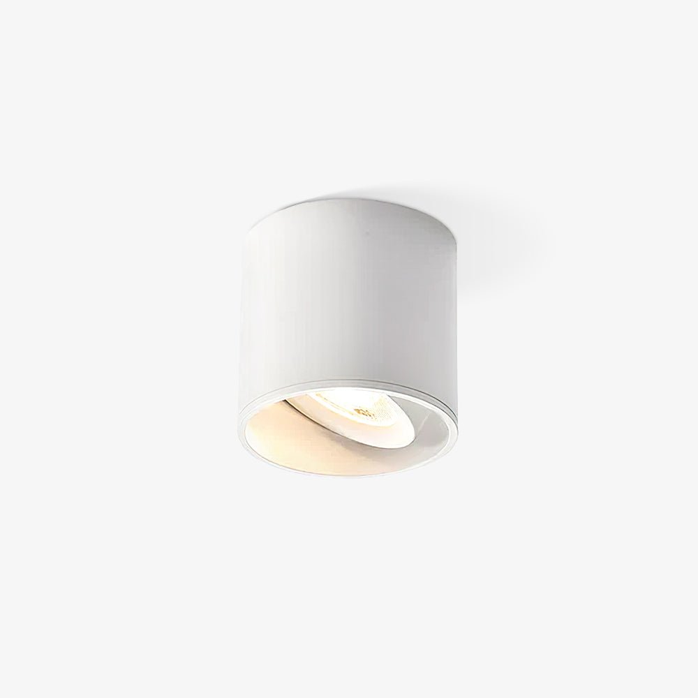 Lenu Cylinder Ceiling Light