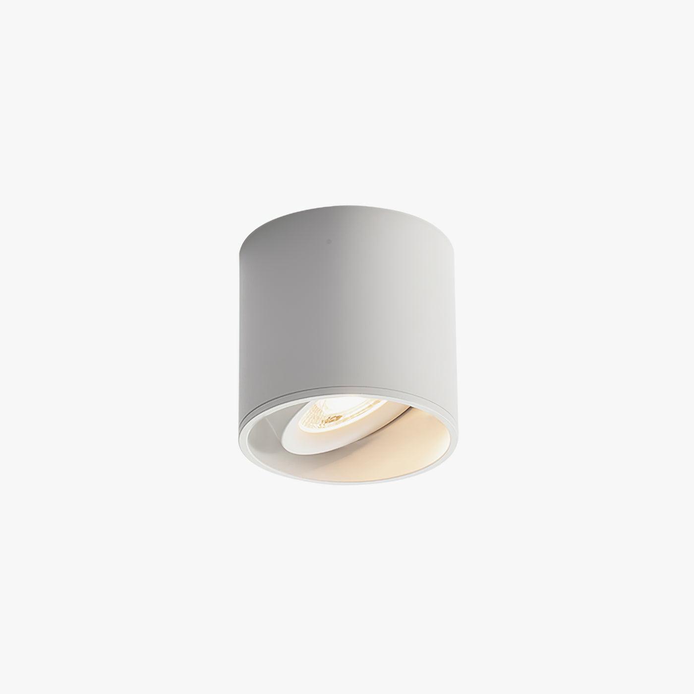 Lenu Cylinder Ceiling Light