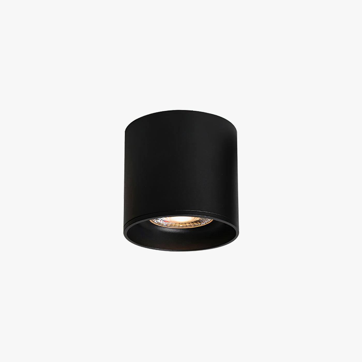 Lenu Cylinder Ceiling Light