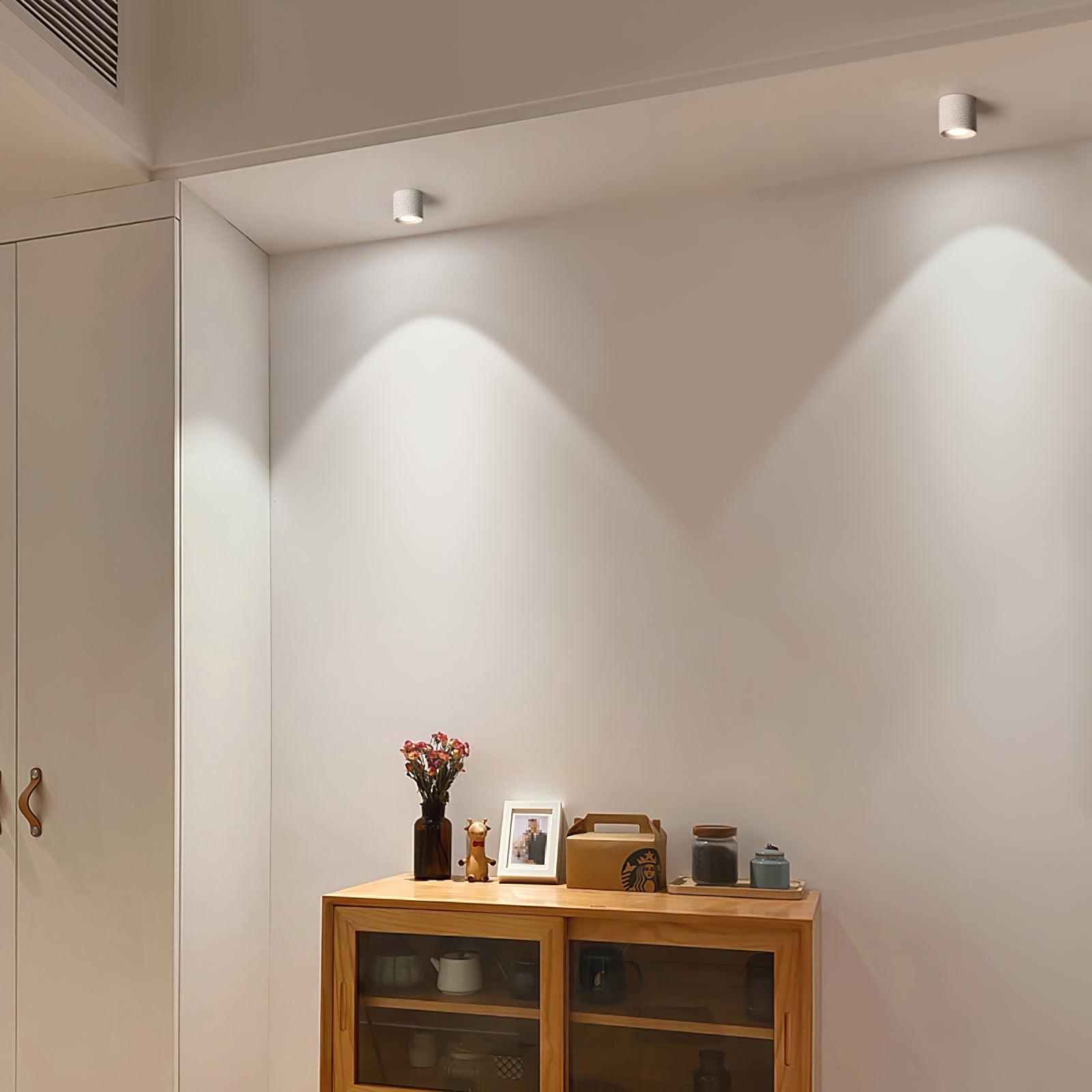 Lenu Cylinder Ceiling Light