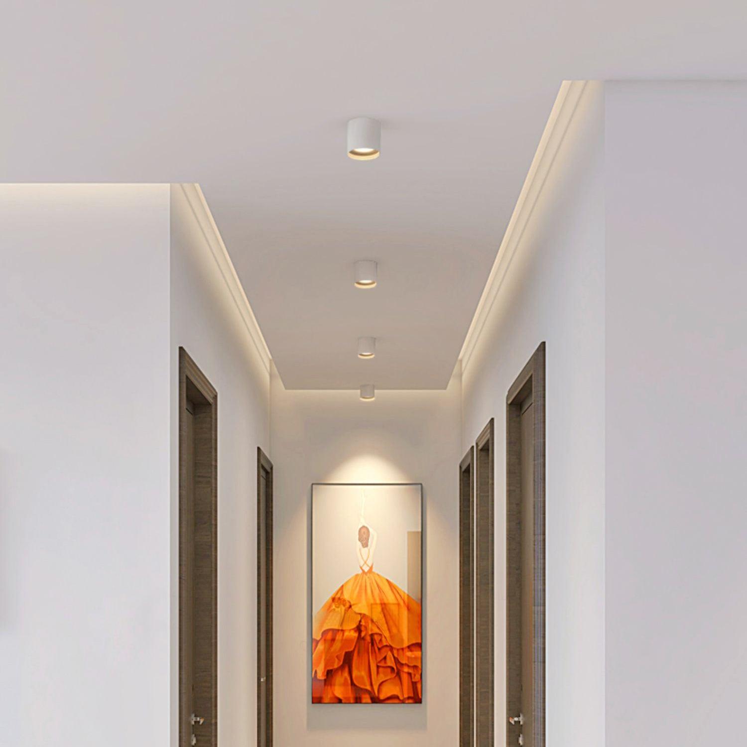 Lenu Cylinder Ceiling Light