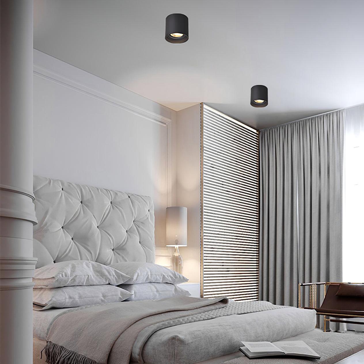 Lenu Cylinder Ceiling Light