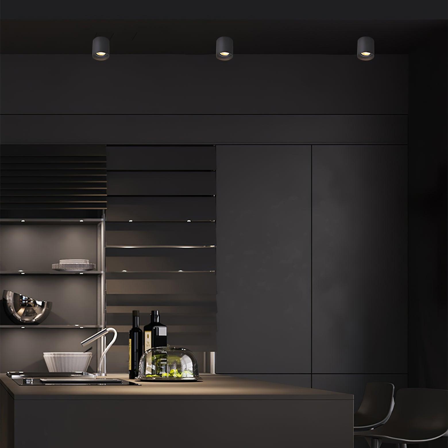 Lenu Cylinder Ceiling Light