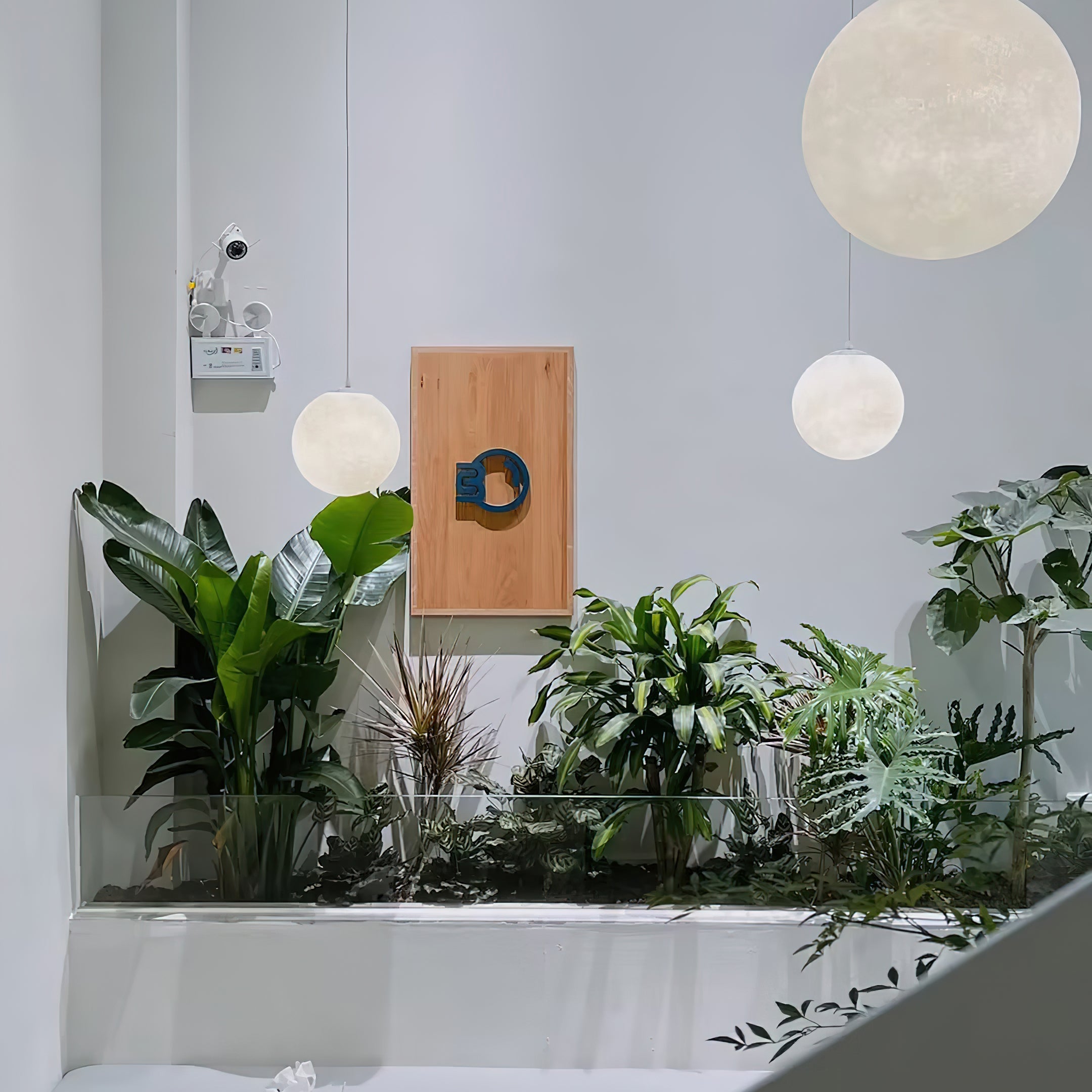 Caldin Globe Pendant Light