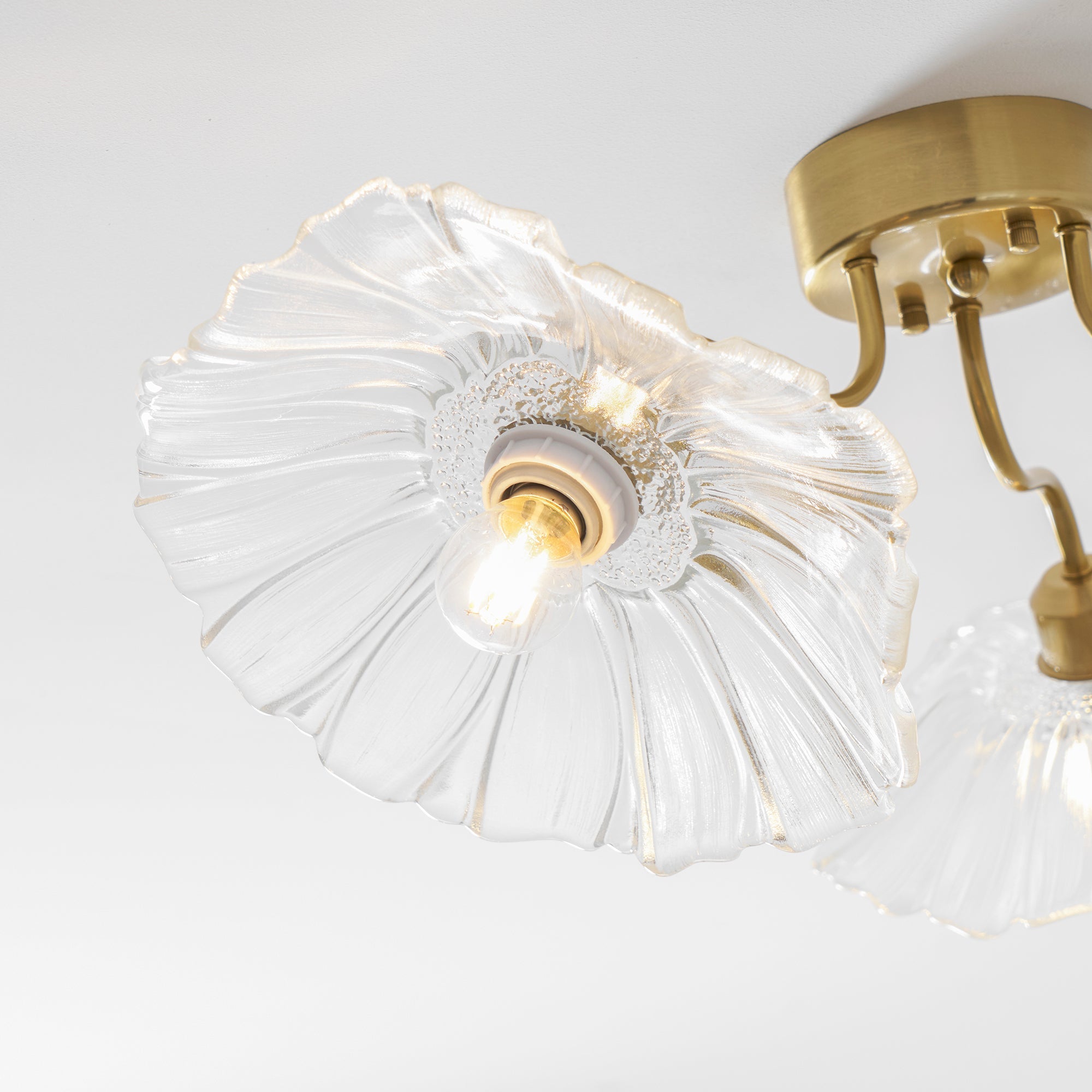 Mera Leaf Ceiling Light