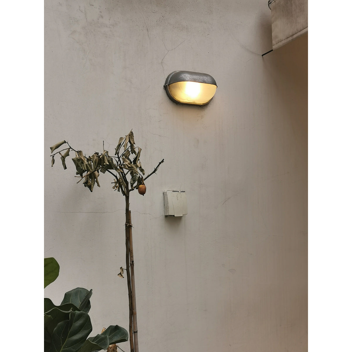Dunon Outdoor Wall Light