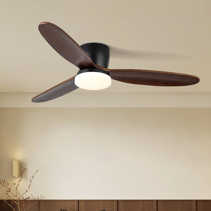 Nesorim Ceiling Fan