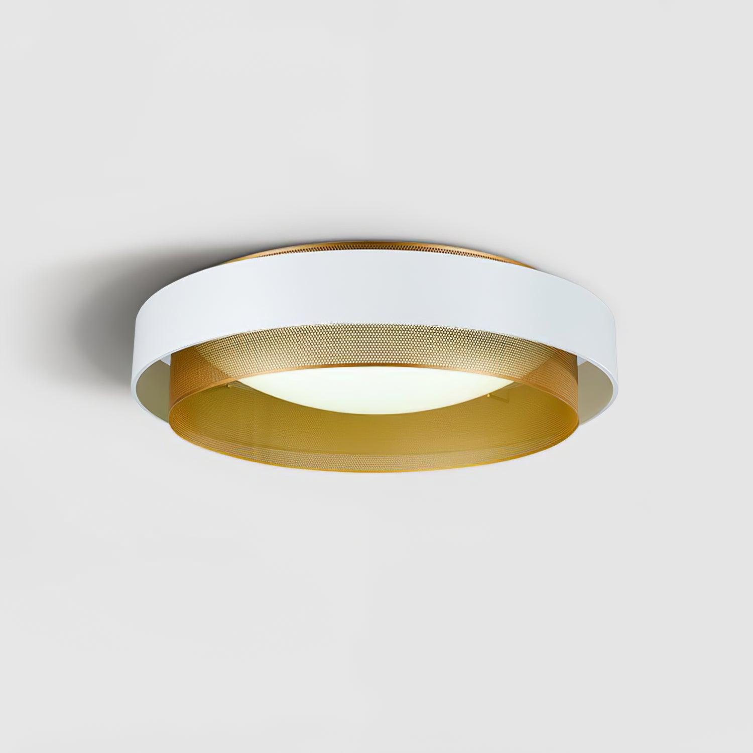 Slyzon Ceiling Light