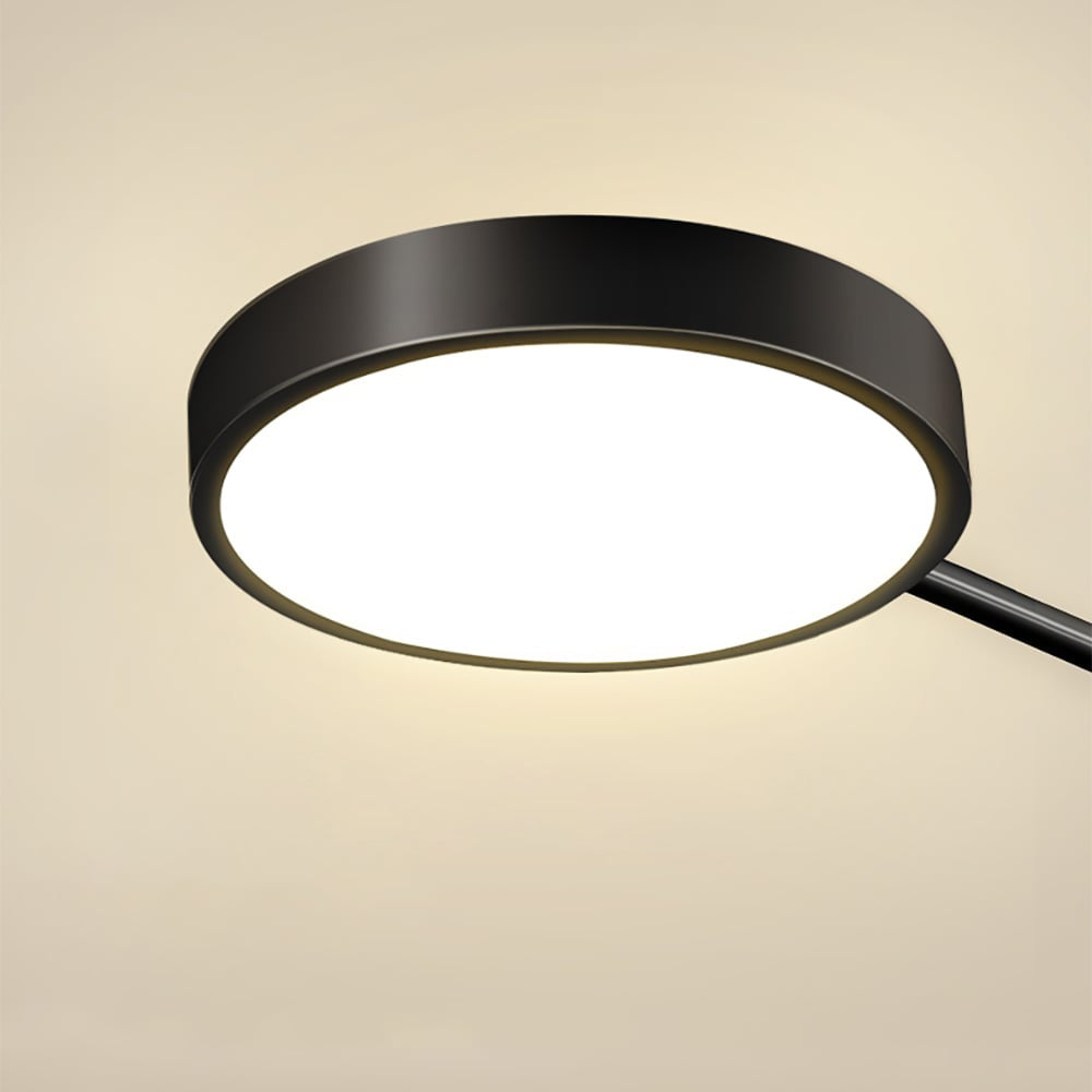 Selyz Ring Design Ceiling Light