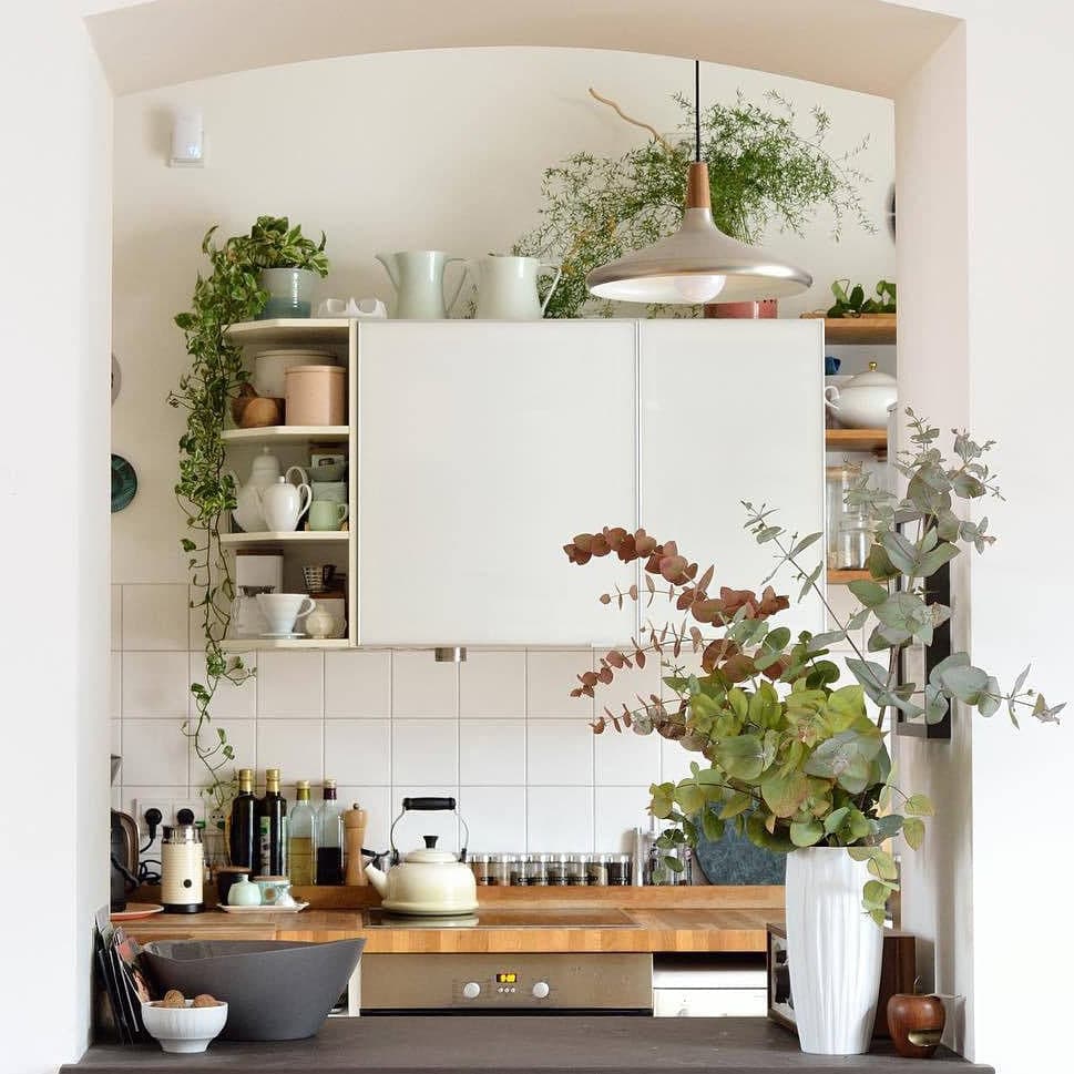 Paxden Cone Pendant Light