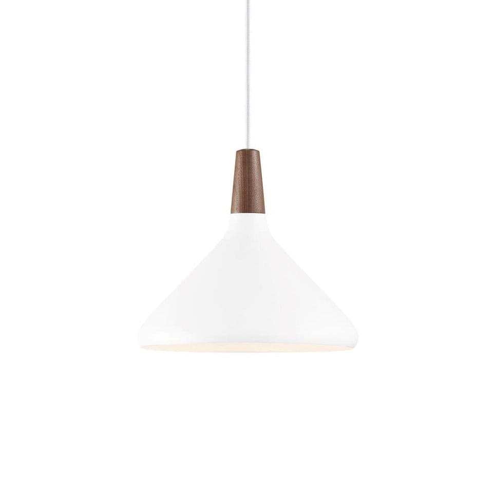 Paxden Cone Pendant Light