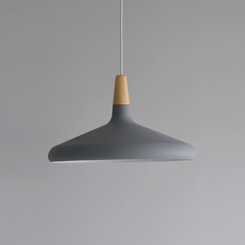 Paxden Cone Pendant Light