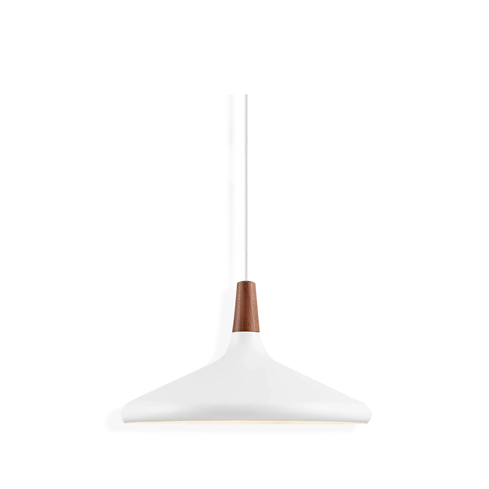 Paxden Cone Pendant Light