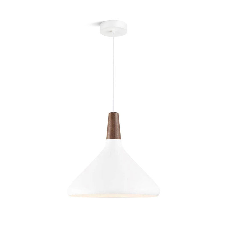 Paxden Cone Pendant Light