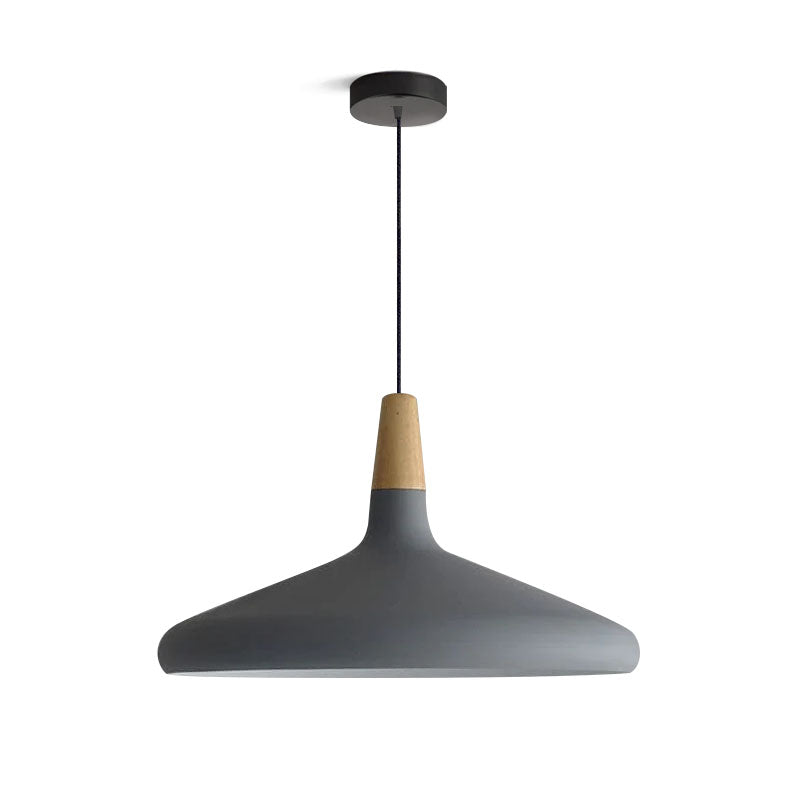 Paxden Cone Pendant Light